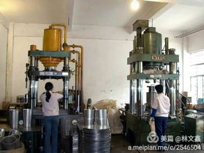 岁月如歌情永驻——原信宜市家用电器厂工友欢聚纪实